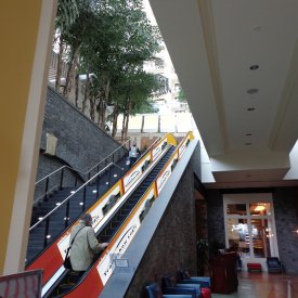 Escalator Clings Atrium Level<br />$7,600